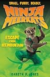 Ninja Meerkats (#3): Escape from Ice Mountain