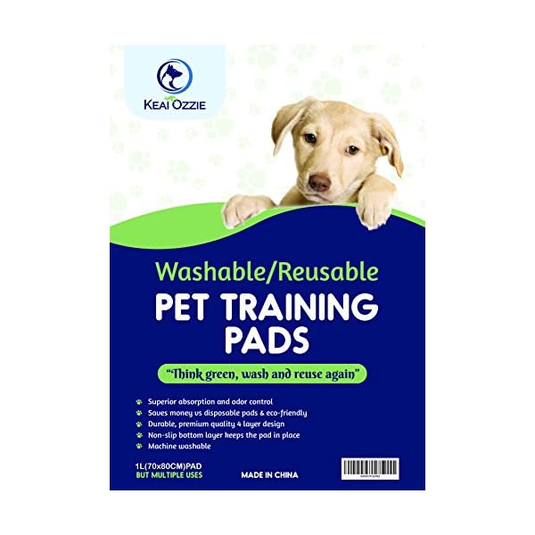 disposable dog mats