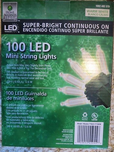 Home Accents LED Mini Lights - Image 2