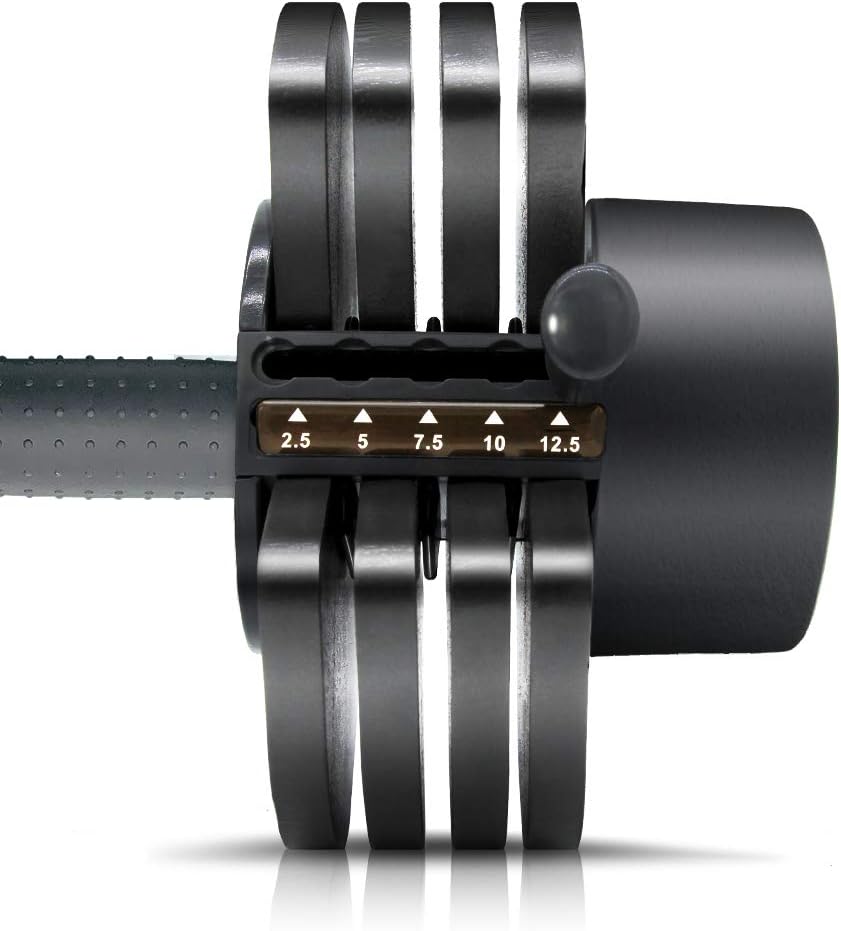 ATIVAFIT Adjustable Dumbbell 27.5 lbs Weights for Gym Home (Single) : Sports & Outdoors
