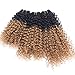 Synthetic Weave Kinky Curly Hair 3 Bundles Ombre Two Tone Black To Golden 16