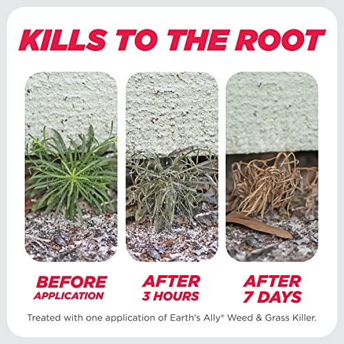 Earth's Ally Weed and Grass Killer Safe, PetFriendly Natural Weed Control Spray for Driveways