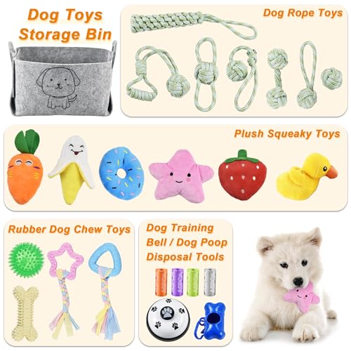 Ousiya 24 Pack Puppy Toys Set with Storage Box - Small Dog Teething Toys for Playing and Training