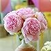 Silk Peony Bouquet 5 Heads Deep Pink SOLEDI Artificial Fake Flower Bunch Bouquet Bridal Bouquet Wedding Living Room Table Home Garden Decoration