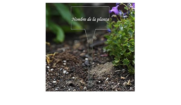 Acrí lico plantar signos cuadrado, X-tra (N) sparente, claro ...