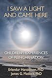 I Saw A Light And Came Here: Children's Experiences of Reincarnation by 