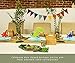 Dinosaur Party Decoration - 3-Piece Dinosaur Honeycomb Decoration Centerpiece, Kids Birthday Party Supplies for Boys, T-Rex Themed, Triceratops, and Brachiosaurus