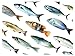 Salted Fish Shaped Colorful Bookmarks, 30PCS