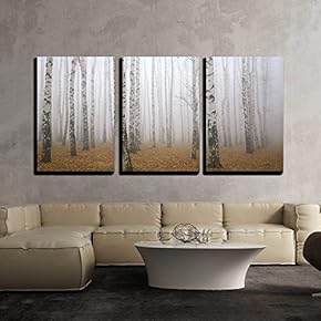 3 Piece Canvas Wall Art - Morning Mist in Autumn Birch Grove - Modern Home Art Stretched and Framed Ready to Hang - 16"x24"x3 Panels
