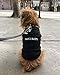 Parisian Pet Security Dog T-Shirt, 5XL
