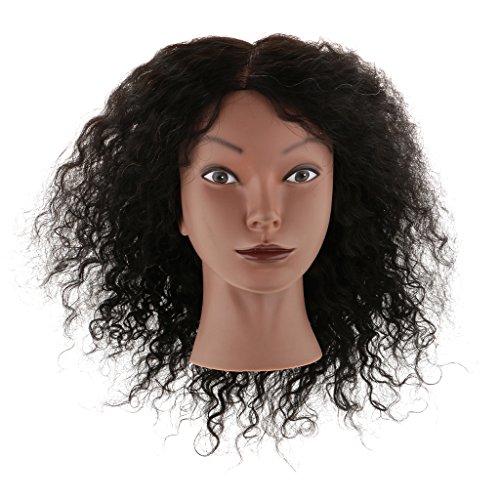 Dovewill African American Afro REAL HUMAN HAIR Cosmetology Hairdressing Silicone Training Manikin Mannequin Head Doll