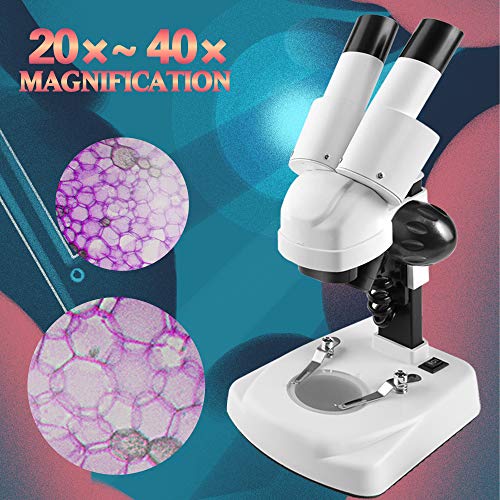 DoubleSun Student Kids Beginner Stereo Microscope Science Kit 20X-40X Compound LED Light Source Binoculars Lab Microscope with a Phone Adapter for Microscope to Record