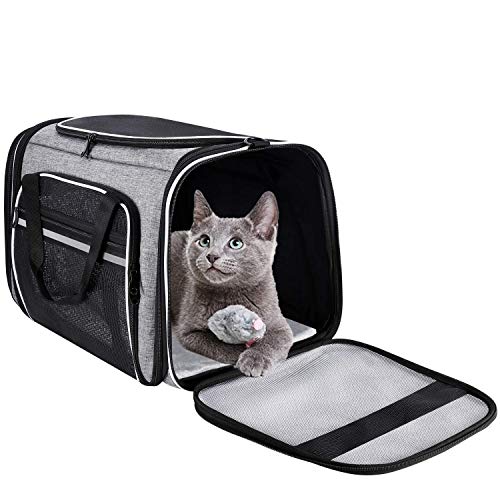 MASKEYON Large Collapsible Airline Approved Soft Sided Pet Carrier