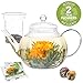 Teabloom Glass Teapot & Glass Infuser Set - Holds 6-8 Cups – Best for Loose Leaf Tea or Blooming Tea – 2 Tea Flowers Included