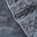 Royhom Duvet Cover for Weighted Blankets 60 x 80 Inches - Removable Weighted Blanket Cover - Soft Minky Dot, Gray