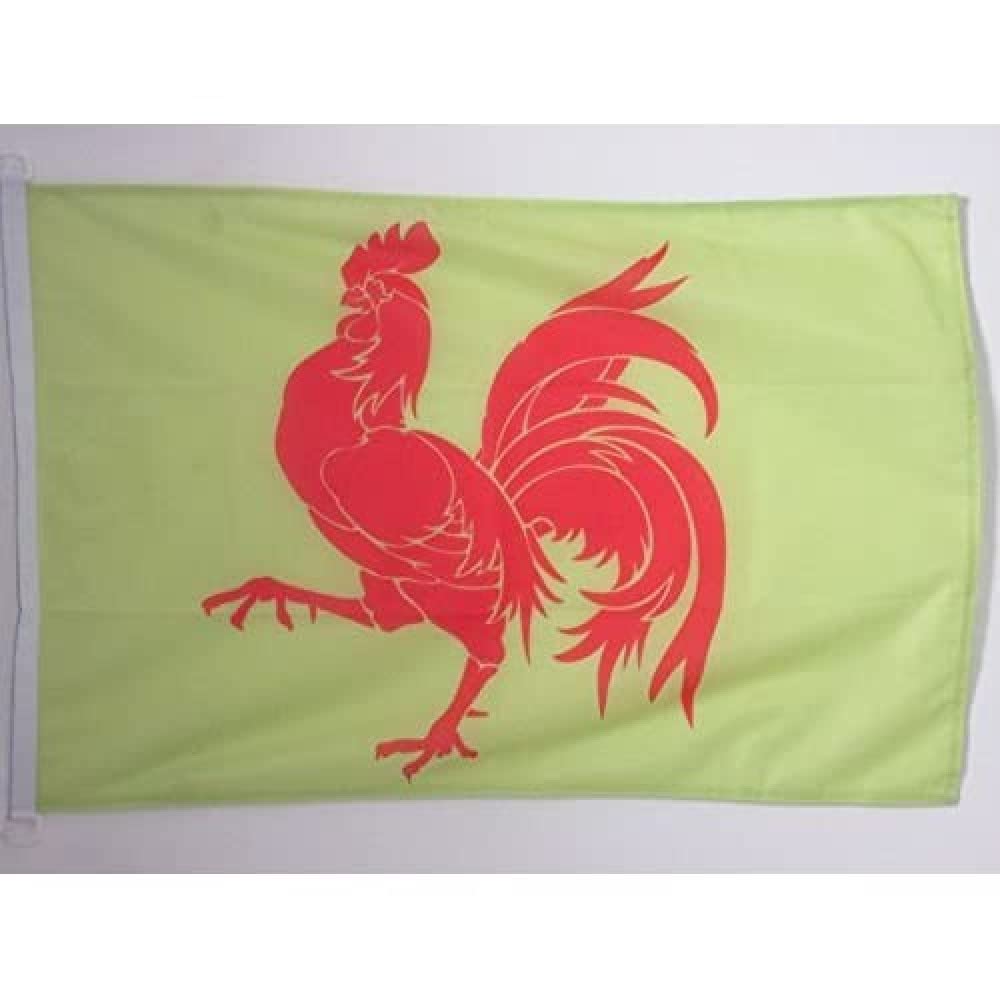 AZ FLAG - Wallonia Flag - 2x3 Ft - For Outdoor - Belgium - Walloon Banner Knitted Polyester with Two Plastic Rings - Fade Resistant - Vivid Colors - 2' x 3' Feet - 90x60 Cm