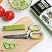 JesitaGear Herb Scissors Stainless Steel Multipurpose Kitchen Shear 5 Blades Cover With Cleaning Comb + Orange Opener Peeler Slicer Cutter Plastic Lemon Citrus Fruit Skin Remover (Style 1)