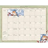 Birds in the Garden 2020 Calendar by