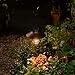 EKQ ROJOY 1Pack Upgrade Hanging Solar Lights Lantern with 1 Shepherd Hook,Metal Solar Waterproof Lantern for Pathway Garden Outdoor (1Pack) (Black)