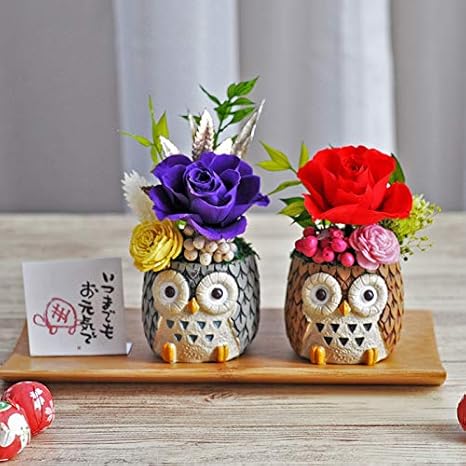Amazon 和風プリザーブドフラワー 夫婦ふくろう いつまでもお元気で プリザーブドフラワー オンライン通販