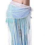 ZLTdream Women's Belly Dance Hip Scarf Highlights cloth With Long Tassels