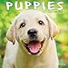2020 Puppies Mini Calendar by 