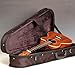 Kala Concert Ukulele Polyfoam Case