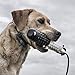 SportDOG Brand FieldTrainer 425X/SportHunter 825 Add-A-Dog Collar – Additional, Replacement, or Extra Collar for Your Remote Trainer – Waterproof and Rechargeable with Tone, Vibration, and Staticthumb 3
