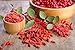 Food to Live Organic Goji Berries, 12 Ounces – Sun Dried, Large and Juicy, Non-GMO, Raw, Vegan, Sirtfood, Bulk