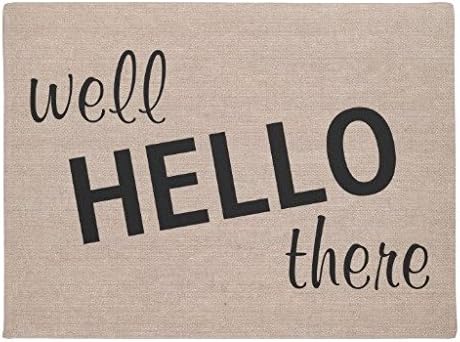Robertoss Well Hello There Funny Quote Saying Hipster Humor Doormat Decor Doormat Washable Indoor/Outdoor Decor Rubber Doormats 16" x 24"