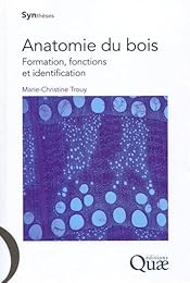 Anatomie du bois