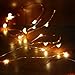 Accmor Led Starry String Lights, Firefly Waterproof Battery Operated Halloween Decoration Lights(UL Certified, FBA)