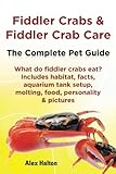 Fiddler Crabs & Fiddler Crab Care.: The Complete Pet Guide. Includes habitat, facts, aquarium tank s by Alex Halton