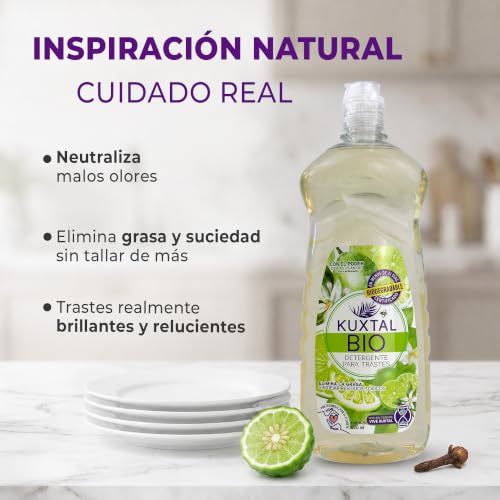 KUXTAL Detergente para Trastes Paquete de 2, Elimina la Grasa sin Percudir los Platos, Amigable con las Manos, Biodegradable OECD 301-A, Ingredientes Naturales, Aroma Cítrico