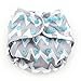 Bumkins Cloth Diaper Cover, Gray Chevron