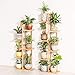 Bamboo 6 Tier 7 Potted Plant Stand Rack Multiple Flower Pot Holder Shelf Indoor Outdoor Planter Display Shelving Unit for Patio Garden Corner Balcony Living Roomthumb 3