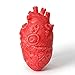 ONEDONE Fake Bloody Heart Body Organ Parts Halloween Horror Props Haunted House Party Decor for Adults
