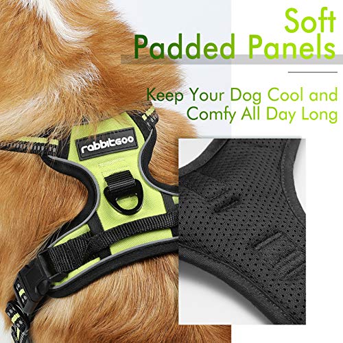 rabbitgoo Dog Harness, NoPull Pet Harness with 2 Leash Clips