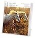 Horse 2015 Gallery Calendar
