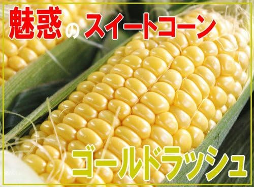 Amazon 千葉県産 ゴールドラッシュ2l5kg 冷蔵便 7月中旬から発送開始予定 朝摘み産地直送だから鮮度抜群 千葉県とうもろこし 生でも食べれるトウモロコシ 追求したのは 爽やかな甘みです By生産者 ハクダイ食品 食品 飲料 お酒 通販