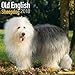Old English Sheepdog Calendar - Dog Breed Calendars - 2017 - 2018 wall Calendars - 16 Month by Avonside