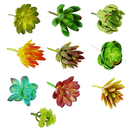 Nextnol 10pcs Artificial Succulents Plants Fake Succulents Wall Decoration DIY Materials (10 Different Kinds Plants)