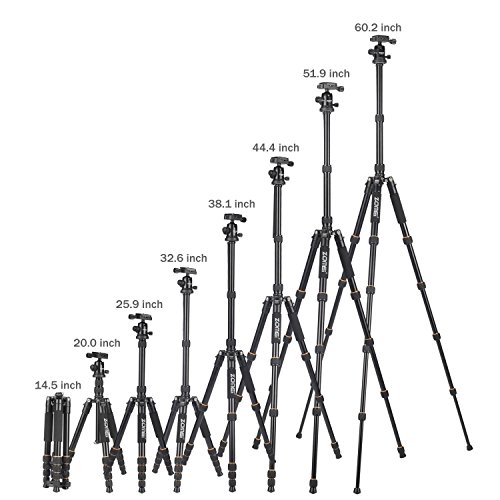 ZOMEI F678 Aluminum Tripod,Professional Stable Portable Lightweight Travel Compact Tripod Monopod with Ball Head Heavy Duty for Nikon Canon Sony All DSLR and Digital Camera