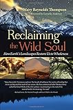 Reclaiming the Wild Soul: How Earth's Landscapes Restore Us to Wholeness