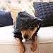 Ellie Dog Wear Charcoal Gray Adventure Zip Up Dog Hoodie with Hook & Loop Pockets and Adjustable Drawstring Hood - Extra Small to Extra Large. Comfortable & Versatile Dog Hoodies (M)