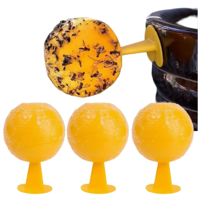 3 Pack Fly Sticky Traps Indoor - Fruit Fly Catcher & Plant Fly Stickers - Fly Traps Indoor for Home Use - Sticky Fly Trap for Indoor Plants - Insect Sticky Traps - Sticky Insect Balls
