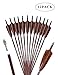 PANDARUS Archery 31-Inch Carbon Hunting Arrows, 4-Inch Turkey Feather Fletching with Replaceable Points, Targeting Practice Arrows Spine 500 for Recurve & Traditional Bows