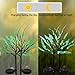Solar Power Tree Light Colorful Light Garden Outdoor Yard Lawn seenlast Landscape Lamp Perfect for Home Festival Party Wedding Christmas Indoor Outdoor Decoration 2 Set (Leaves)