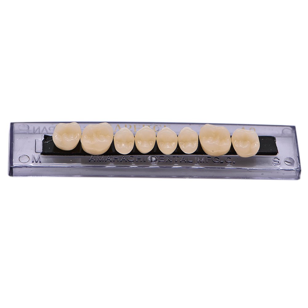 RZJZGZ 168 Pcs Dental Synthetic Resin Tooth Denture 6 Sets False Teeth for Halloween Horror Teeth 23 A3 : Beauty
