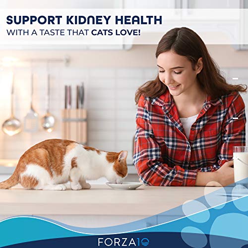 Forza10 Active Kidney Renal Cat Food for Adult Cats, Kidney Cat Food